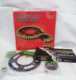 Regina Professioneel ketting set Kawasaki ER-6N-ER - 6F- Versys 2006 met gratis ketting borstel