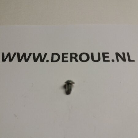 kreidler Kreidler kerfnagel 4x6mm voor typeplaatje 00.55.17