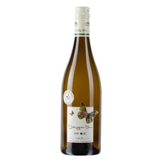 Domaine de Salvard Sauvignon blanc 2015