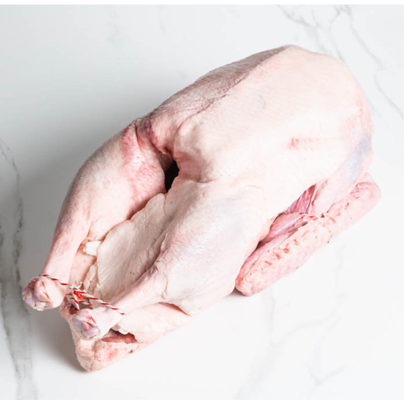 LeJean Hele tamme Gans 4200 gram