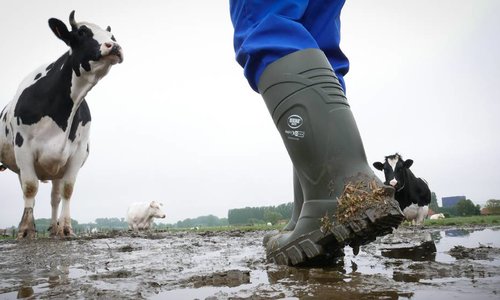 5 raisons pour lesquelles les agriculteurs ont besoin de bottes de travail de qualité