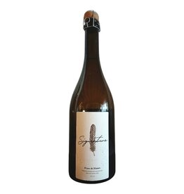 Den Nachtegael Den Nachtegael - Signature Blanc de Blancs