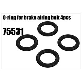 RS5 Modelsport O-ring for brake airing bolt
