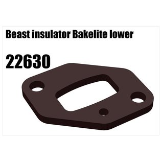 RS5 Modelsport Beast insulator Bakelite lower