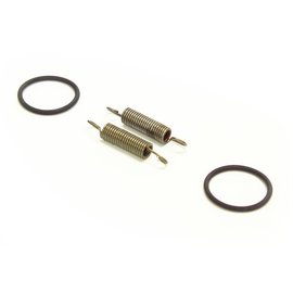 RS5 Modelsport R-Power o-ring and spring set