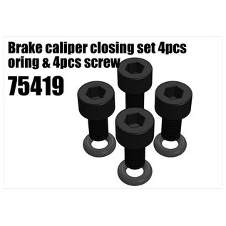 RS5 Modelsport Brake caliper closing set 4pcs oring & 4pcs screw