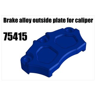 RS5 Modelsport Brake alloy outside plate for caliper