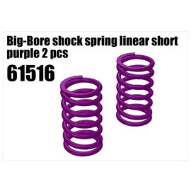 RS5 Modelsport Shock's spring linear short purple
