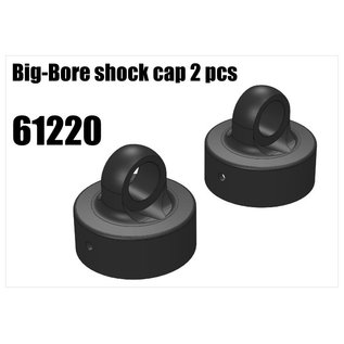 RS5 Modelsport Shock's alloy cap 2pcs