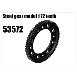 RS5 Modelsport Steel gear modul 1 72 teeth