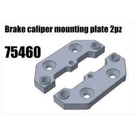 RS5 Modelsport Brake caliper mounting plate 2pz