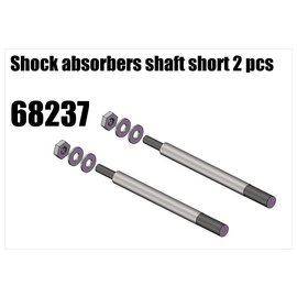 RS5 Modelsport Shock absorbers shaft short