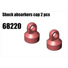 RS5 Modelsport Shock absorbers cap