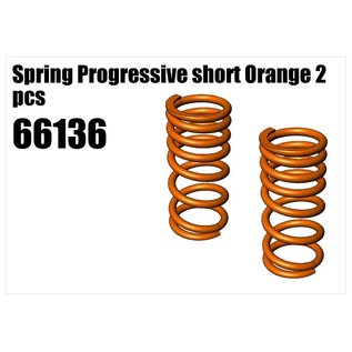 RS5 Modelsport Spring Progressive short Orange 2pcs