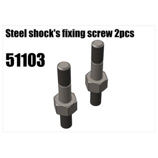 RS5 Modelsport Steel shock's fixing screw 2pcs