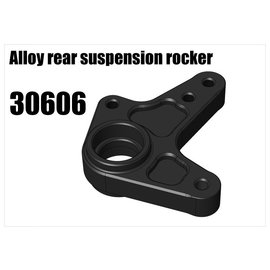 RS5 Modelsport Alloy rear suspension rocker