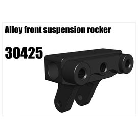 RS5 Modelsport Alloy front suspension rocker