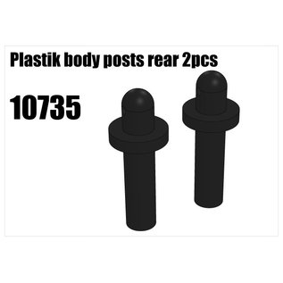 RS5 Modelsport Plastik body posts rear 2pcs