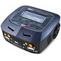 SkyRC SkyRC D100 V2 AC/DC charger