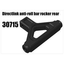 RS5 Modelsport Directlink anti-roll bar rocker rear