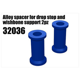 RS5 Modelsport Alloy spacer 2pcs