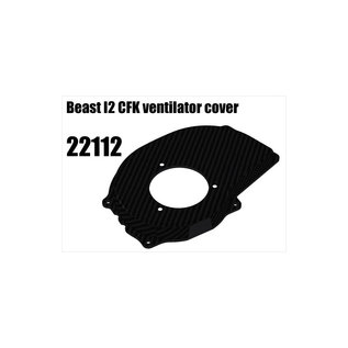 RS5 Modelsport Beast S2 CFK ventilator cover