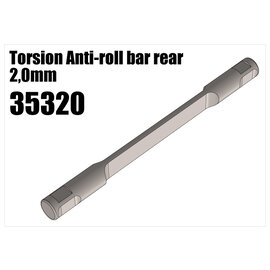 RS5 Modelsport Torsion Anti-roll bar rear 2.0mm