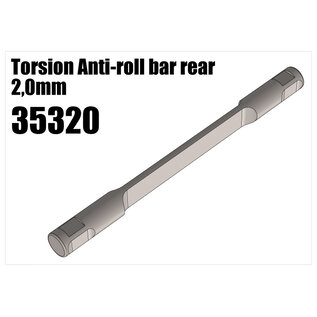 RS5 Modelsport Torsion Anti-roll bar rear 2.0mm