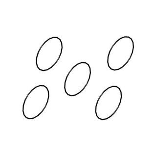 Bergonzoni O-ring for differential case - NEW MODULAR / TORSEN (5 pcs.)