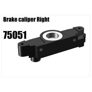 RS5 Modelsport Brake caliper right