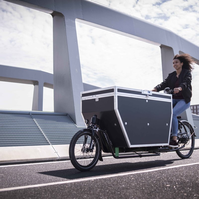 urban arrow rear carrier