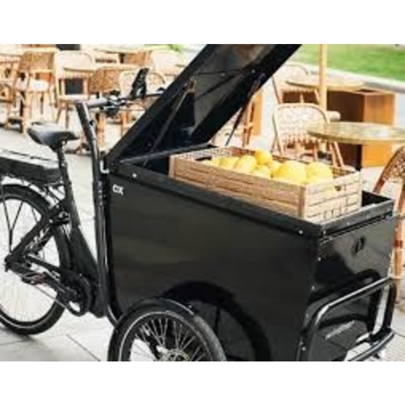 Winther Business CX Bafang M410 3 speed autom.