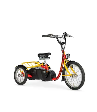 Nijland Cycling Acky Tricycle