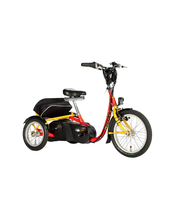 Nijland Cycling Nijland Acky Tricycle – Stable kids tricycle with low step-through