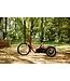 Nijland Cycling Nijland Acky Tricycle – Stable kids tricycle with low step-through