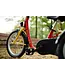 Nijland Cycling Nijland Acky Tricycle – Stable kids tricycle with low step-through