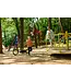 Nijland Cycling Nijland Acky Tricycle – Stable kids tricycle with low step-through