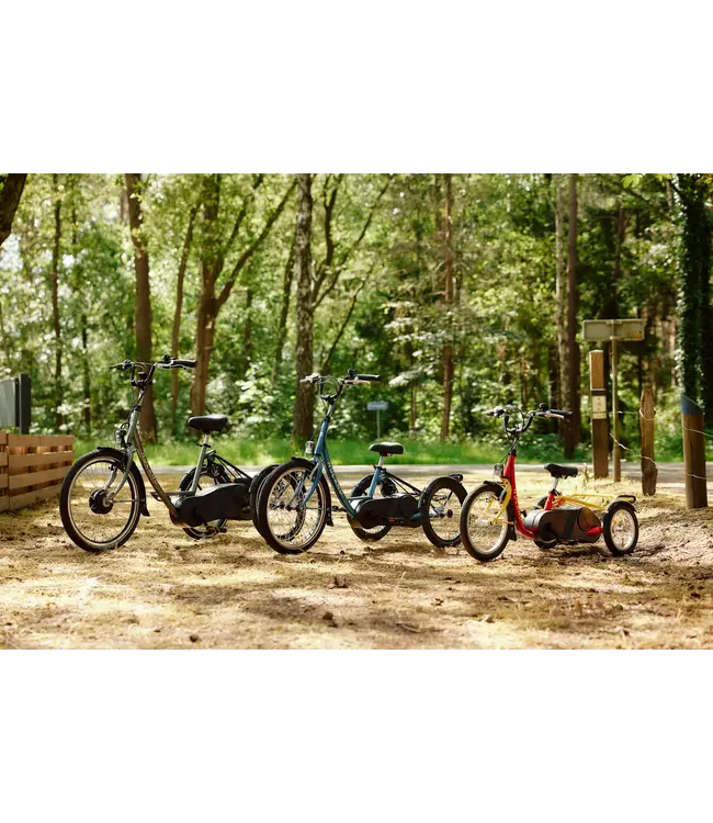 Nijland Cycling Nijland Acky Tricycle – Stable kids tricycle with low step-through