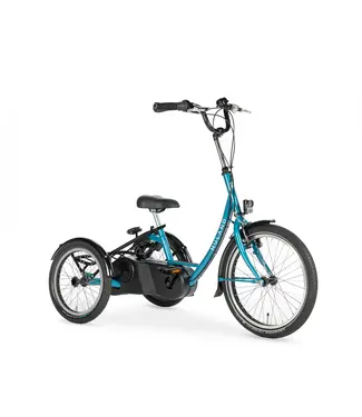 Nijland Cycling Bondo Tricycle