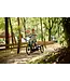 Nijland Cycling Nijland Clip Tricycle – Stable kids tricycle also for small adults
