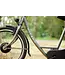 Nijland Cycling Nijland Clip Tricycle – Stable kids tricycle also for small adults