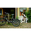 Nijland Cycling Nijland Diamond Tricycle – Robust and stable tricycle