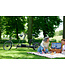 Nijland Cycling Nijland Nando Too Tandem – Three-wheel tandem for two adults