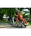 Nijland Cycling Nijland Transporter Wheelchair Bike – Bike for safe wheelchair transport