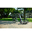 Nijland Cycling Nijland Transporter Wheelchair Bike – Bike for safe wheelchair transport