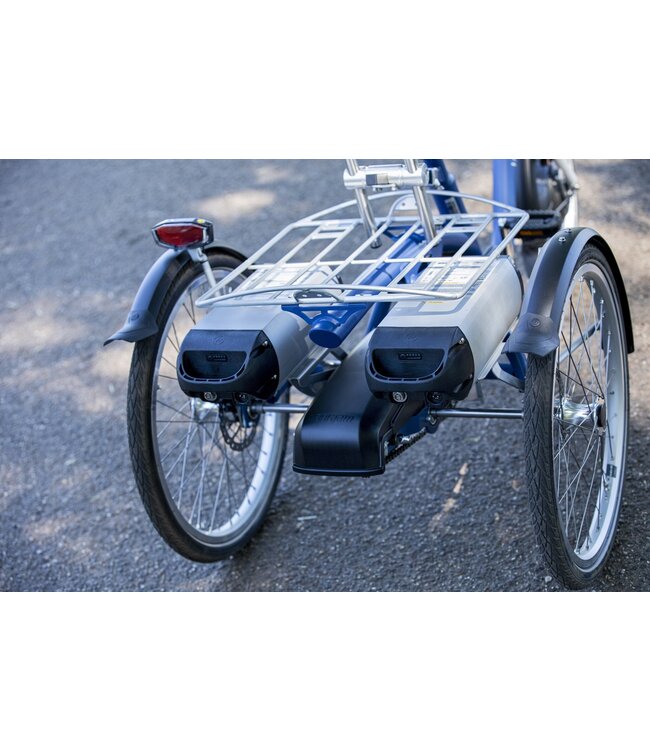 Van Raam Van Raam Midi Tricycle – Compact tricycle for teenagers and small adults