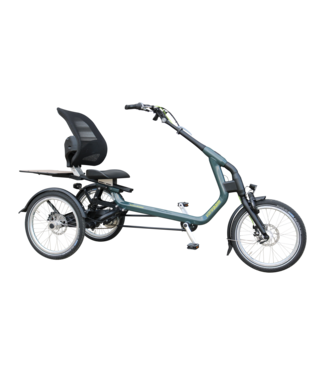 Van Raam Easy Rider Tricycle