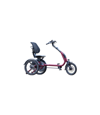 Van Raam Easy Rider Compact Tricycle