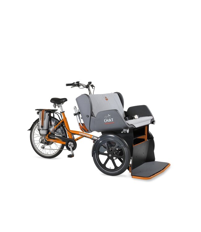 Van Raam Van Raam Chat Rickshaw Bike – Ride together with a rickshaw bike