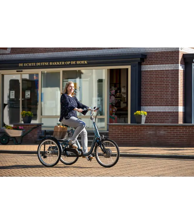 Van Raam Van Raam Maxi Driewielfiets – Comfortabele driewieler voor volwassenen